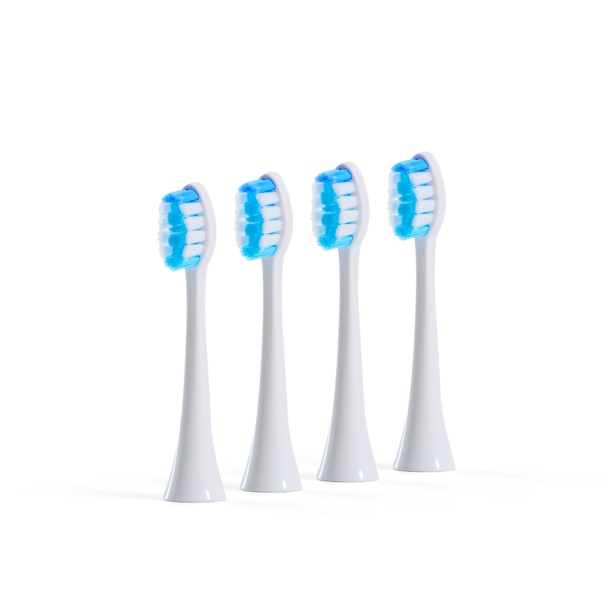 (4-pack) D2 Pro Borsthuvuden