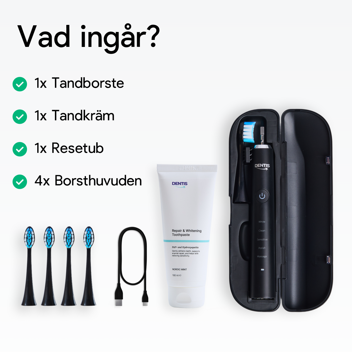 D2 Pro Elektrisk Tandborste