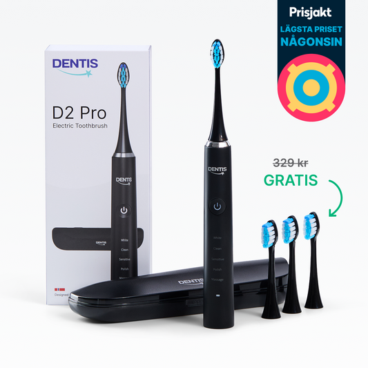 D2 Pro Elektrisk Tandborste