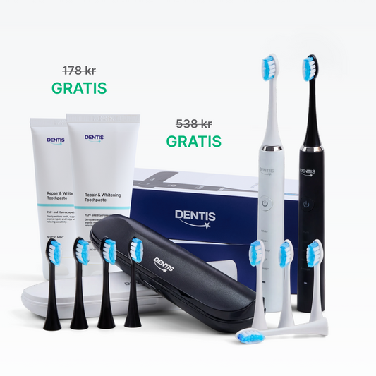 D2 Pro Elektrisk Tandborste