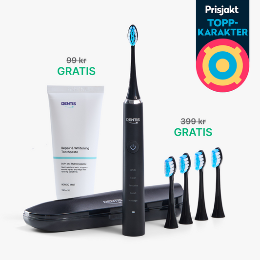 LP2 Dentis D2 Pro Svart