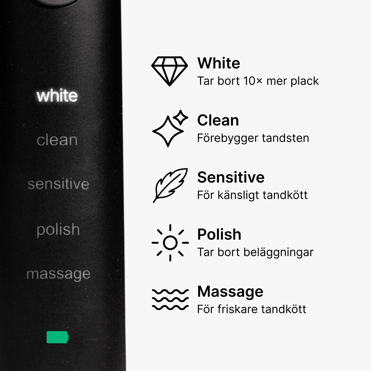 D2 Pro Elektrisk Tandborste